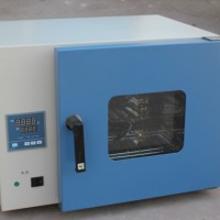 250℃鼓风干燥箱 DHG-9023A电热恒温鼓风干燥箱