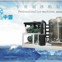 片冰机-中国制冰机者-中雪制冷