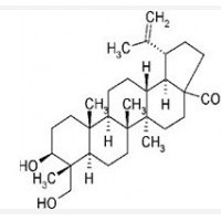 23-羟基白桦酸 85999-40-2 对照品 标准品 HPLC≥98%
