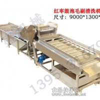 红枣鼓泡毛刷清洗机