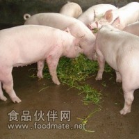 微生态制剂，猪饲料添加剂