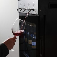 供应葡萄酒分酒机、分酒器、保鲜机