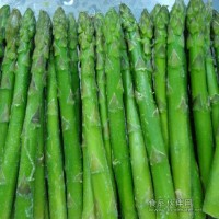 供应速冻绿芦笋条