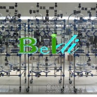 供应BDX1-100L提纯用玻璃反应釜