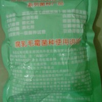 毛霉菌-豆腐乳发酵常年供应