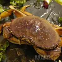 进口珍宝蟹（鲜活）