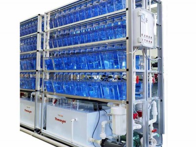 斑马鱼养殖系统TMG1000图1