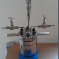 25ml微型高压反应釜，实验室小型高压反应釜