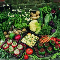 生态，健康，食品安全等级高的蔬菜