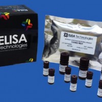 熟肉肉种鉴定ELISA快速检测试剂盒