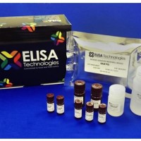 ELISA-TEK™ 肉种掺假鉴定检测试剂盒