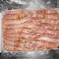 阿根廷红虾（海捕）