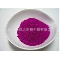 紫薯粉 供应
