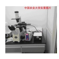 倒置荧光显微镜  显微镜价格   国产荧光显微镜