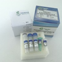 动物源性成分鉴定PCR试剂盒亿森宝生物