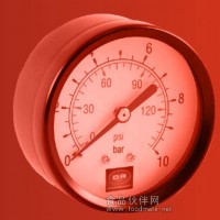 进口压力表