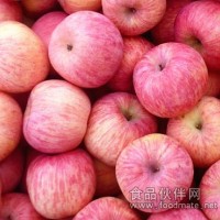 产地直销 羽轩苹果 大型食堂配餐