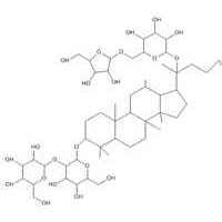 人参皂苷Rc，人参皂苷Rc98%，价格