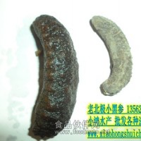 小鸿水产大量批发老北极参，小黑参，价格便宜，营养价值高是老百姓吃得起的海参