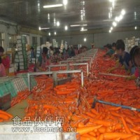 寿光胡萝卜出口加工厂  韩国日本印尼迪拜
