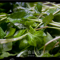 原生态食品：野芹菜