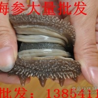 即食海参的3种做法讲解