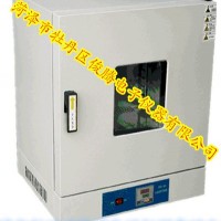 立式电热干燥箱（101/202系列）