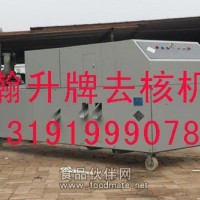 李子去核机