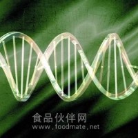 lncRNA研究整体课题