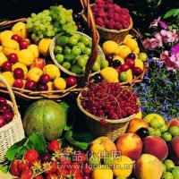 批发供应各种海南热带水果
