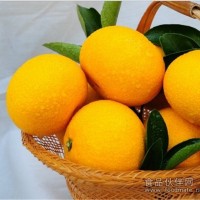 杂柑类新品种甜桔柚，清凉润肺 市场反应好 疯抢！！