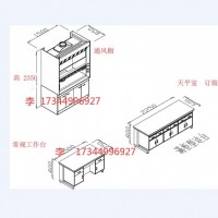 实验室试剂药品柜器皿柜通风柜橱气瓶柜工作台天平台厂家