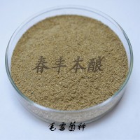 毛霉菌毛霉毛豆腐菌种毛霉菌价格毛霉菌供应毛霉菌厂家