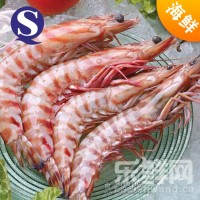 新鲜冷冻超大明虾/竹节虾/斑节虾8头1盒500g 海鲜虾