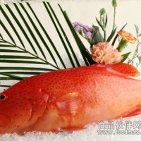 长期供应印度尼西亚进口高档海鲜活东星斑