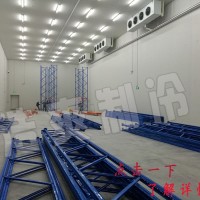 柠檬冷藏库 葡萄保鲜气调库 各类水果冷藏与保鲜