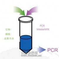 PCR MasterMix