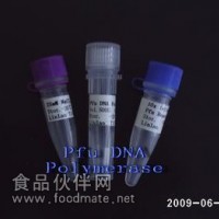 Pfu DNA Polymerase