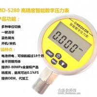 MD-S280 数字压力表 电池压力表