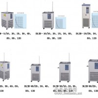 DLSB系列低温循环泵