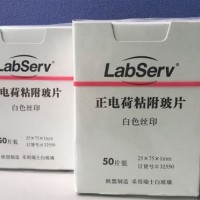 Labserv正电荷粘附载玻片，75x25mm，50片/盒