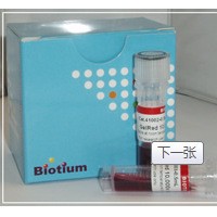 GelGreen 41005 Biotium