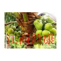 供应精炼食品级 椰油  椰子油  氢化椰子油