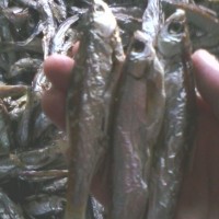 淡水刁子鱼干 绿叶阳干绿色鱼干系列