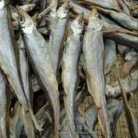 洪湖【绿叶】水产鱼干生产销售厂家 新鲜鱼干 品种全价格优