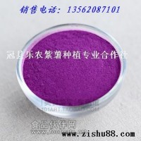 紫薯粉专业加工厂