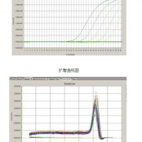 实时荧光定量PCR技术服务