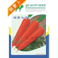 胡萝卜种子-美国高原七寸胡萝卜种子
