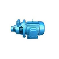 小流量高扬程泵-1W型单级漩涡泵