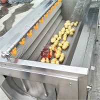 全自动毛輥清洗机 不锈钢大姜清洗去泥机润鼎生产